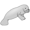 M+is+for+Manatee Picture