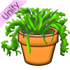 Plants Picture