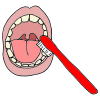 Who checks our teeth?