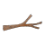 branch
