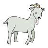 Big billy goat hopped on the