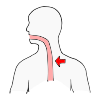 throat Picture