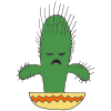 Cactus+-+Hank Picture