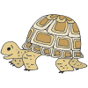 Turtle+did+not+hurry.++He+was+a+little+slower_+but+he+kept+going. Picture