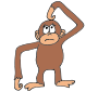 Confused Monkey