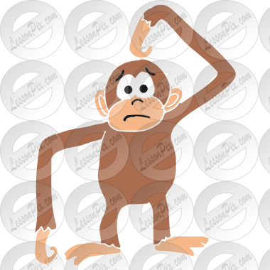 Confused Monkey