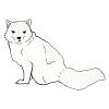 Artic Fox
The Artic Fox sheds its fur each season, changing from white fur in the winter to grey in the summer months