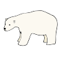 Polar Bear Picture