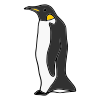 The penguins were sliding