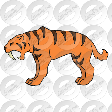 Saber-tooth tiger  Picture