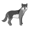 The wolves were howling