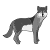Wolf%0ADuring+the+coldest+nights_+a+wolf+will+curl+itself+into+a+ball_+covering+its+nose+with+its+tail+to+keep+warm. Picture