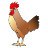 I see the rooster.