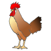 The+rooster+says Picture