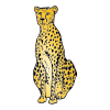 "Cheetah Run"

Run from tape on floor to wall.