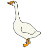 goose Picture