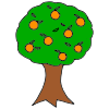 Fruit tree