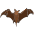 bat
