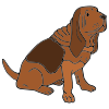 The dog is sitting.