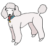 white dog