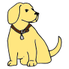 Is this a dog?