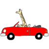 giraffe in a car Picture