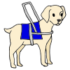 Guide Dog Picture