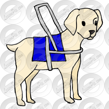 Guide Dog Picture