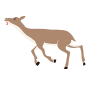 Dead Deer Stencil