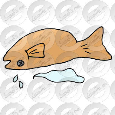 Dead Fish