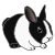 bunny