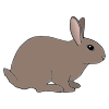 A+rabbit+hops. Picture