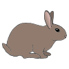 The rabbits were hopping