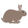 I+see+a+rabbit. Stencil
