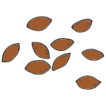 Seeds Picture