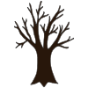 Bark_+Tree+Skin Picture