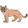 A Florida Panther lives in the swamp.