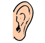 Ear Picture