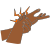 pain