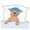 Sick as a dog