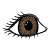 pupil