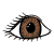 pupil