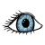 pupil
