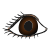 pupil