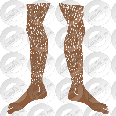 Hairy Legs  Stencil