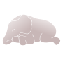 Sleeping Baby Elephant