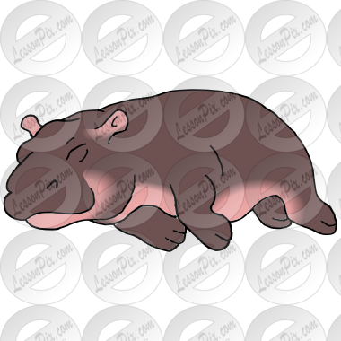 Sleeping Baby Hippo Picture