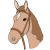 I am safe when I ride a horse.
