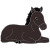 pony