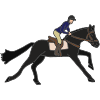 Horseback+Riding Picture